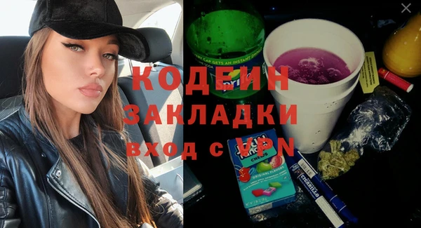мдпв Заводоуковск