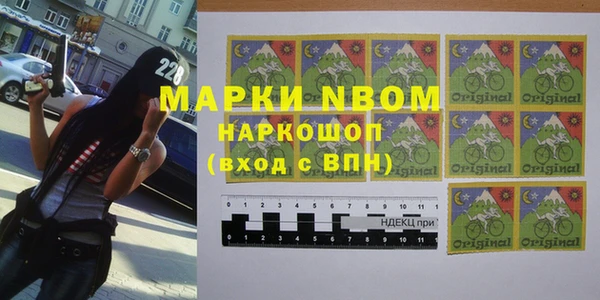 мдпв Заводоуковск