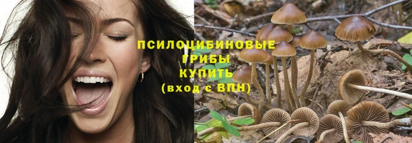 мдпв Заводоуковск