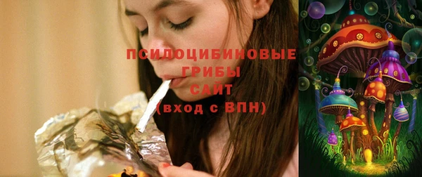 таблы Туринск